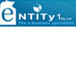 Entity 1 Pty Ltd - Melbourne Accountant